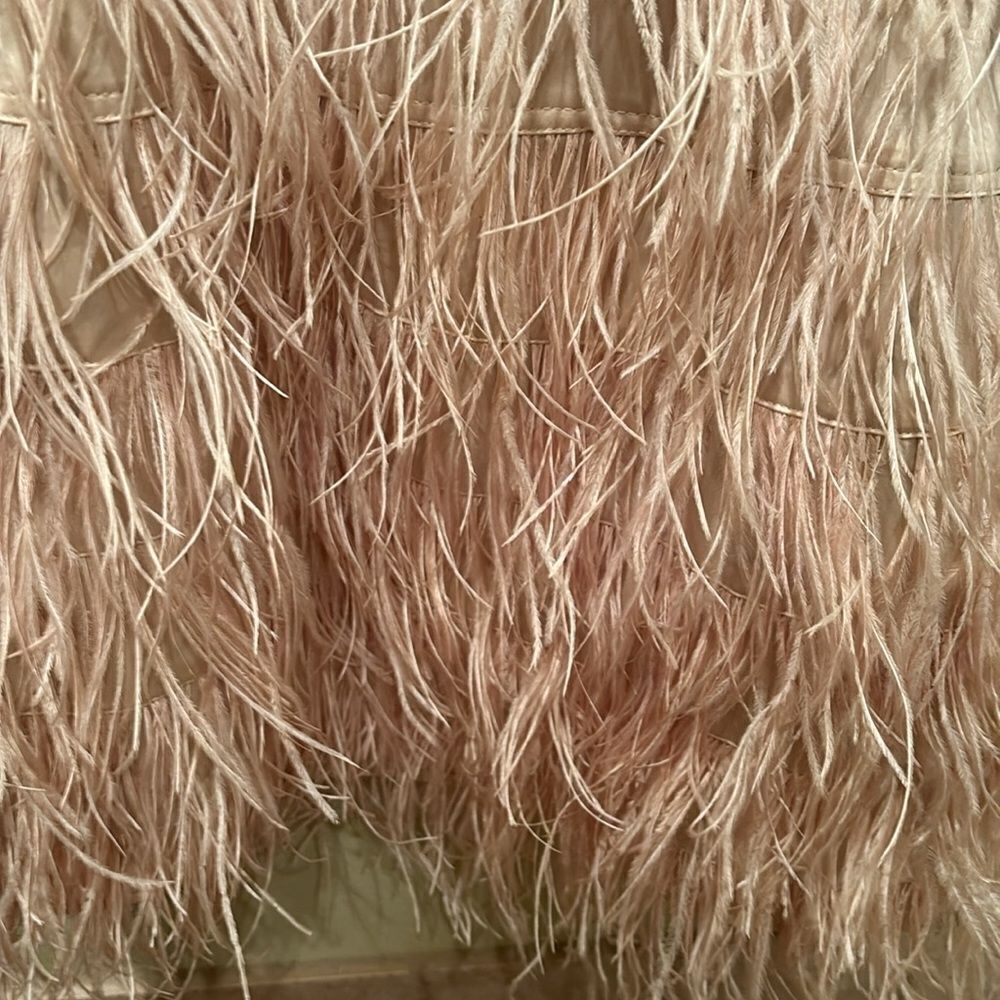 Bebe strapless fringe and sequin dress. Top is gold and the fringe is light pink - Picture 4 of 11